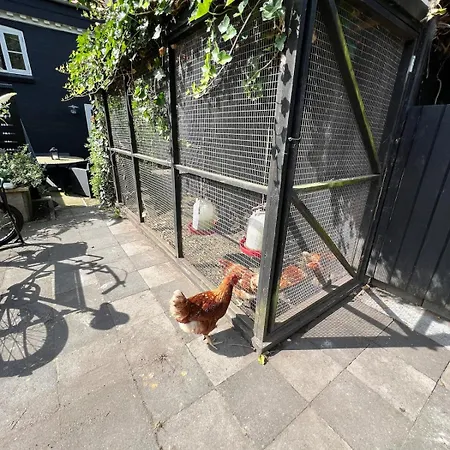 Backhouse Free Parking Og Privacy * Odense